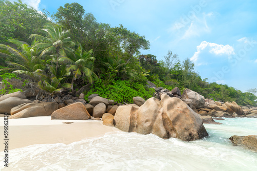 Rocks and palms in Anse Georgette beach