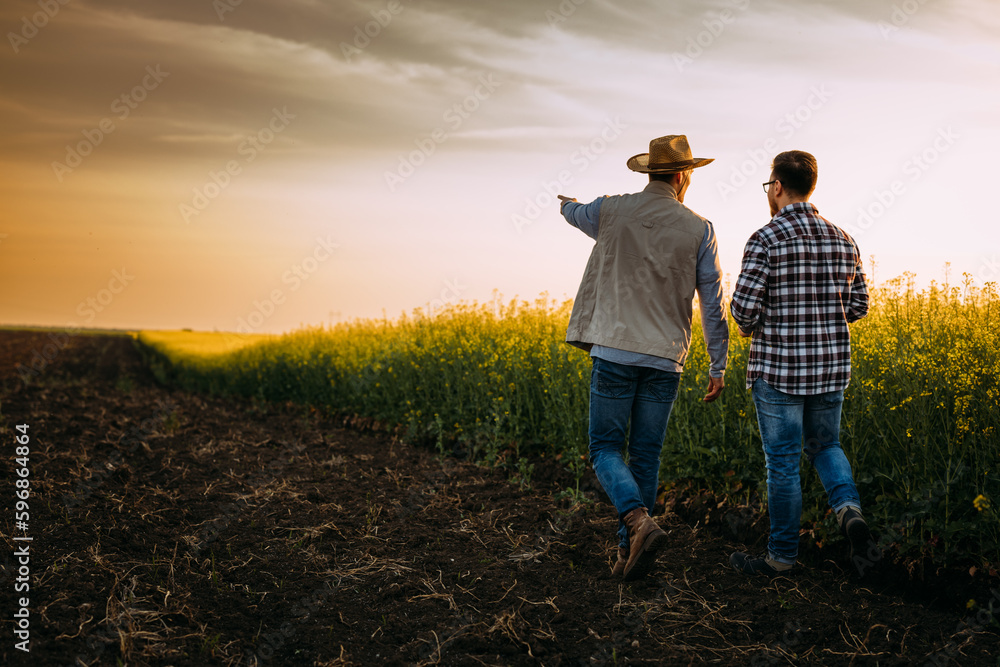 Two farmers walking on a farmland at unset and talking. - obrazy, fototapety, plakaty 