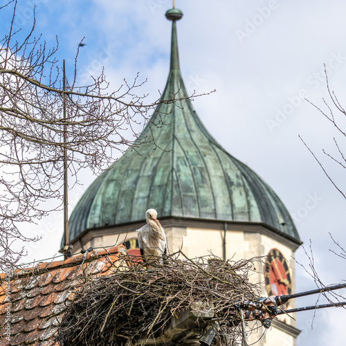 White Stork, Ciconia ciconia on the nest in Oettingen, Swabia, Bavaria, Germany, Europe photo