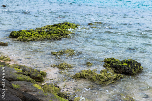 小浜島 海人公園の風景 