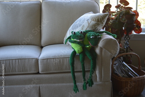 Frogs on the Couch