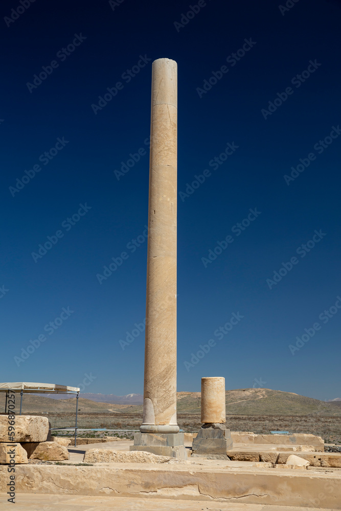 Columns in Palace of Cyrus, Pasargadae, Iran