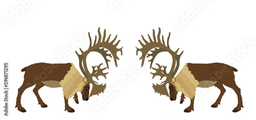 Deer battle vector illustration isolated on white background. Reindeer powerful buck with huge antlers. Rein deer fighting for female. Struggle in forest. Zoo animal nature. Christmas holiday symbol.