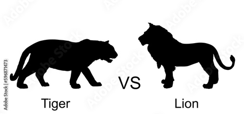 Tiger against lion vector silhouette illustration isolated on white background. Big dangerous cat from Asia vs animal king pride of Africa. Wildlife predator battle. Leo symbol. Strong powerful feline