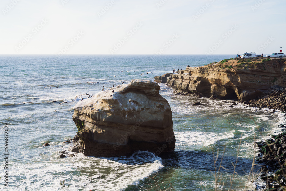 Seagulls Flying Towards a Rock Island Cliff