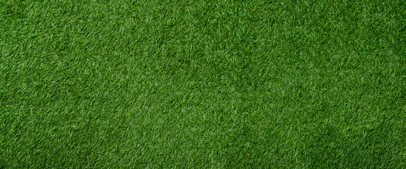 Natural green grass background. Horizontal creative theme poster, greeting cards, headers, website and app