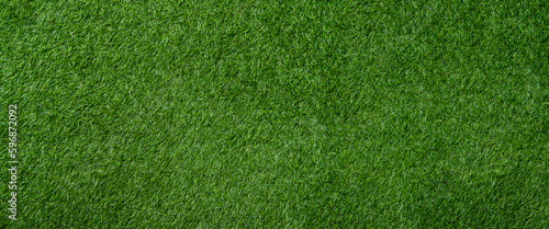 Natural green grass background. Horizontal creative theme poster, greeting cards, headers, website and app