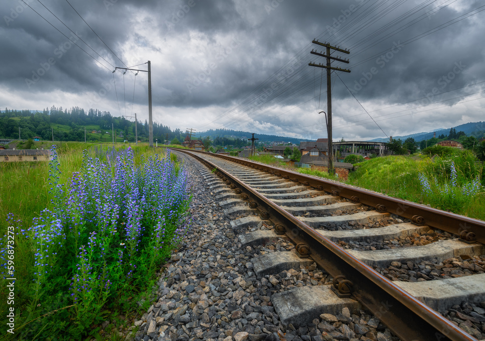 Railroad in mountains and blue flowers in overcast day in summer. Railway station in village at dusk. Industrial landscape with railway platform, green trees and grass, dramatic cloudy sky, houses