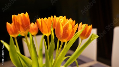 Fototapeta Naklejka Na Ścianę i Meble -  yellow tulip flower