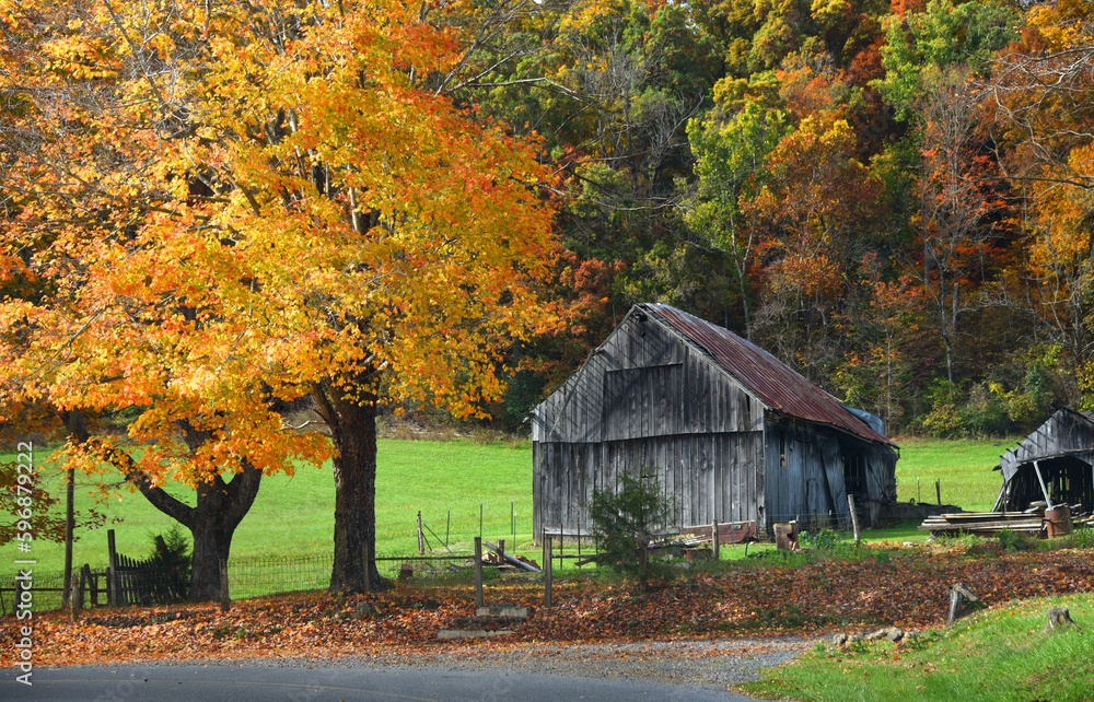 Appalachian Autumn on the Farm