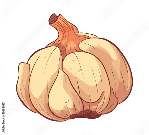 Fresh organic garlic healthy seasoning icon