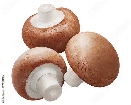 Three delicious mushrooms cut out