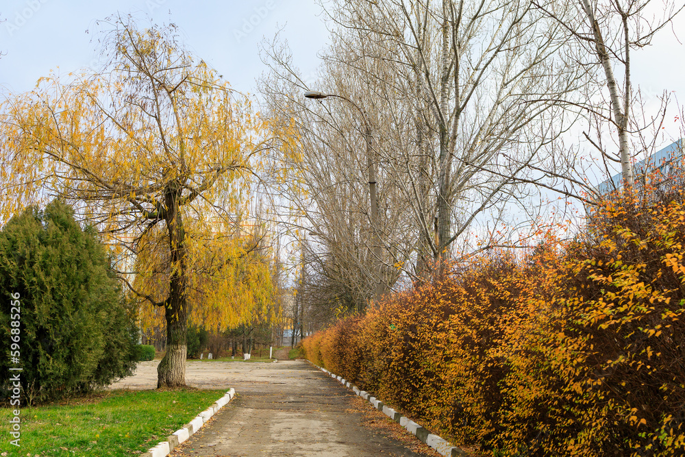 Abstract autumn seasonal background for weather forecast with selective focus and copy space