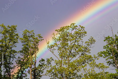 Bright rainbow behind green trees