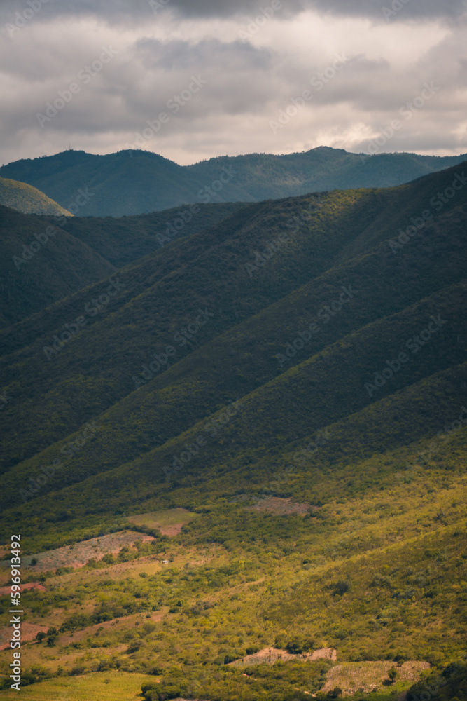 Ladera de una montaña en la sierra de Oaxaca