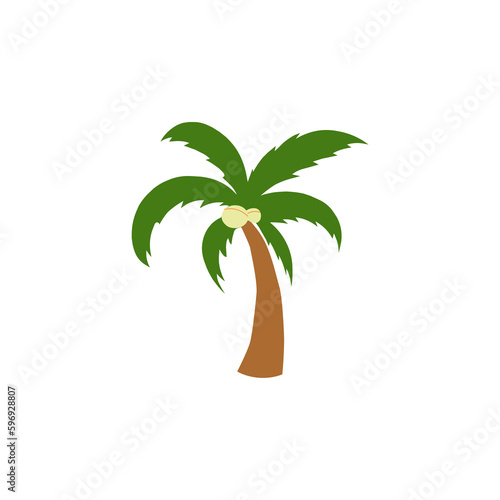 illustration of a coconut tree
