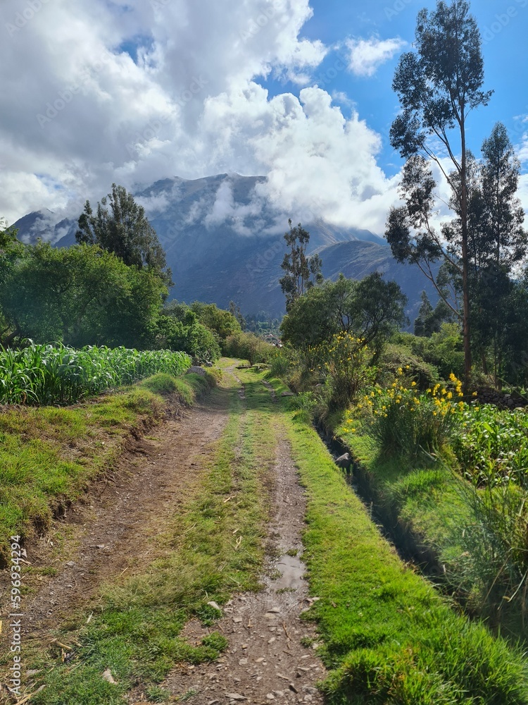rural path in the middle of a crop field under the mountains of Urubamba - Cusco - Peru
