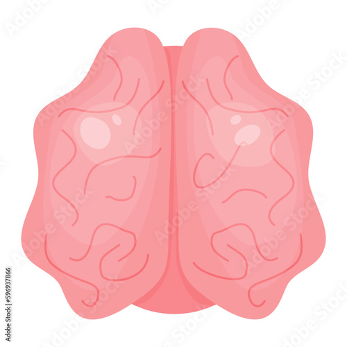 Cartoon brain. Human organ central nervous system. Vector illustration in flat cartoon style.