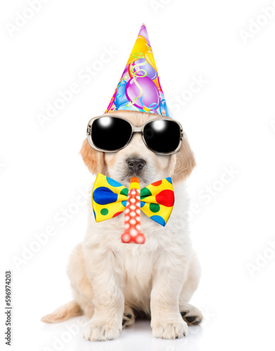 Fototapeta Naklejka Na Ścianę i Meble -  Golden retriever puppy wearing tie bow, sunglasses and party cap blows in party horn. isolated on white background