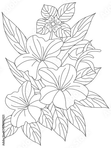 Vector illustration with flowers. Coloring page. Garden print. Monochrome line drawing. Flower, floral painting. Graphic line art