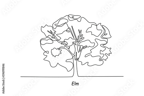 Single one line drawing elm. Tree concept. Continuous line draw design graphic vector illustration.