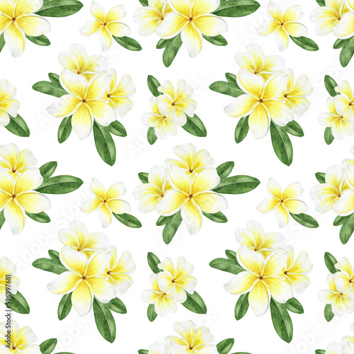 Yellow plumeria flowers. Tropical exotic flowers. Watercolor seamless pattern on a white background. For fabric, wallpaper, scrapbooking, packaging paper