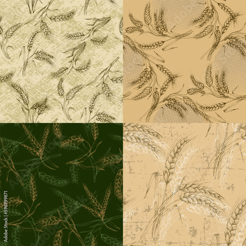 Vector Agriculture Seamless Pattern. Wheat field, seamless texture pattern with hand drawn ears, vector abstract illustration in vintage style.