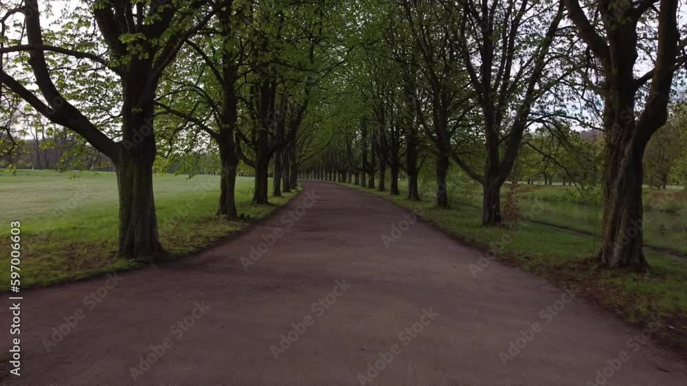 avenue of trees with empty footpaths, cologne, green belt, germany avenue of trees with empty footpaths, cologne, green belt, germany