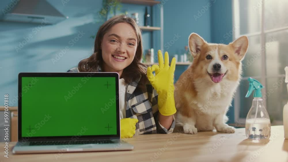 Portrait of a Smiling Young Woman in Yellow Rubber Gloves With Her Dog in the Kitchen.Female Housewife with a Laptop with a Green Screen Showing an Okay Sign.Organizing Pet Supplies and Spaces. Portrait of a Smiling Young Woman in Yellow Rubber Gloves With Her Dog in the Kitchen.Female Housewife with a Laptop with a Green Screen Showing an Okay Sign.Organizing Pet Supplies and Spaces.