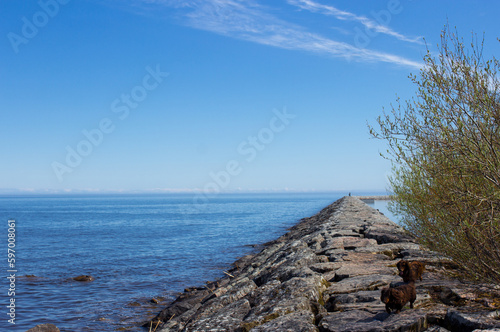 Ladoga Lake in spring nature