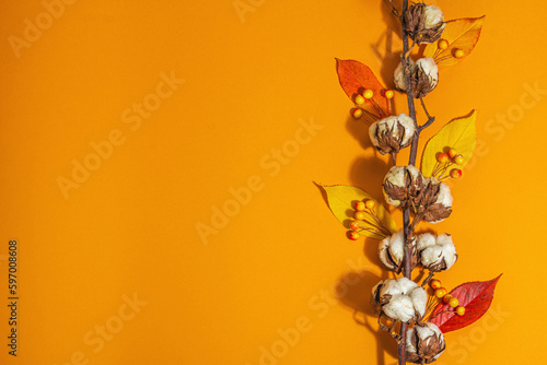 Vivid autumn composition. Soft cotton flowers, fall leaves and berries. Orange background