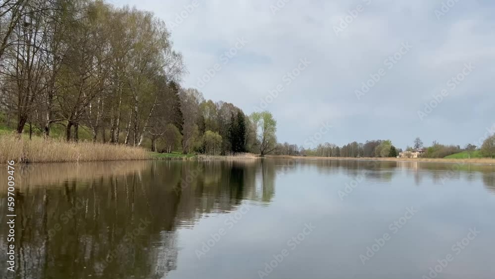 Tall trees look into the reflection of the lake water, watching the fish Tall trees look into the reflection of the lake water, watching the fish