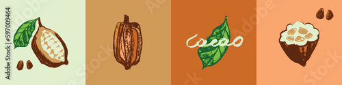 Vector Cocoa bean icon set. Hand drawn sketch Cacao beans. Leaves of Cocoa bean isolated. Sign of Bean to bar cacao. Organic product doodle for cafe, shop. Plant part for label, logo, sign, symbol.