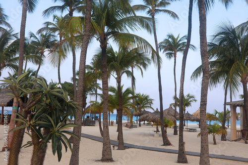 Travel to an Aruba resort by the ocean