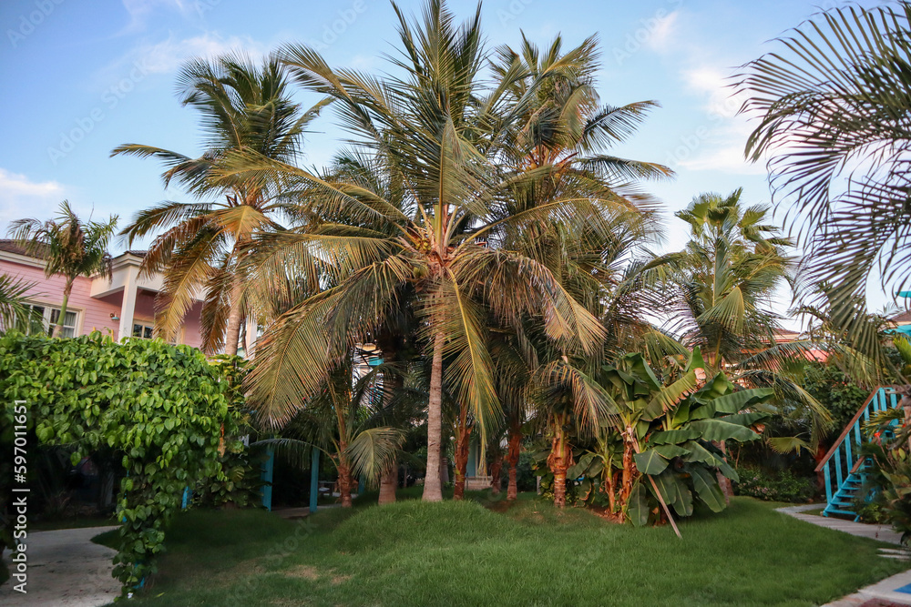 Travel to an Aruba resort by the ocean