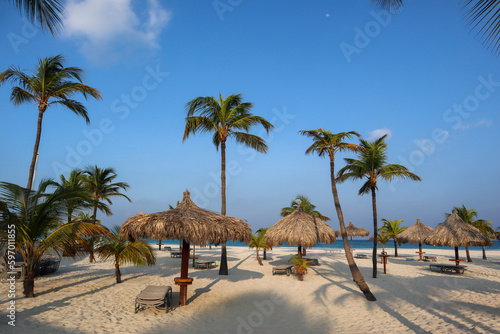 Travel to an Aruba resort by the ocean © Frankie