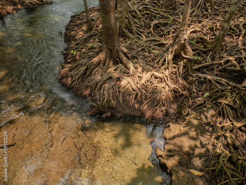 Waterfalls in the forest  streams suitable for adventure travel. Learn nature and preserve the environment.