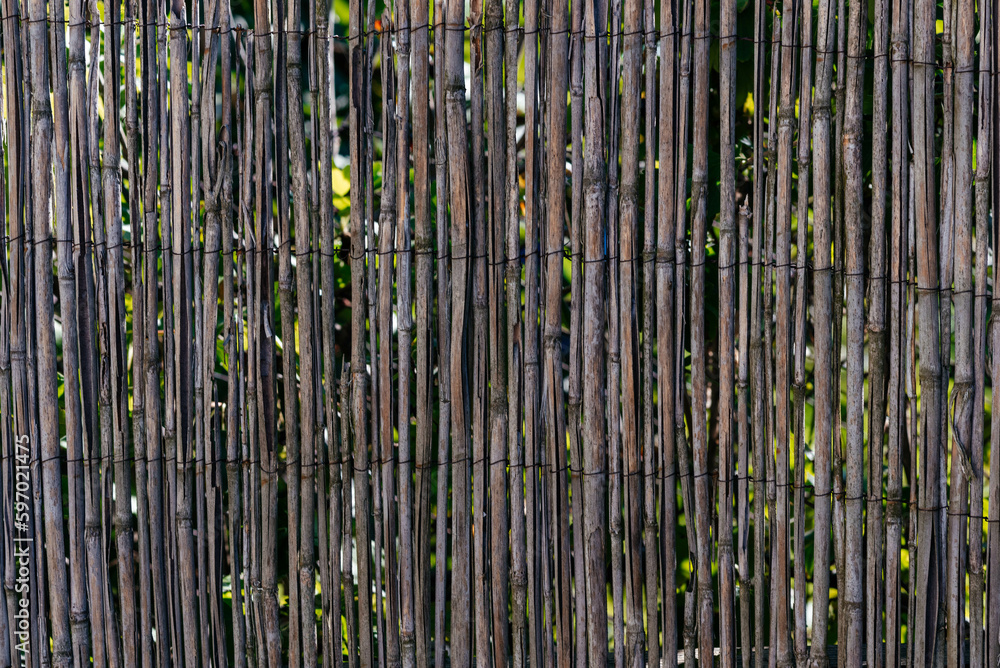 Obraz premium Decorative fence made of straw, bamboo. Rustic fence made of dry bamboo. 