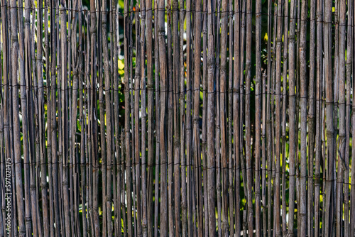 Decorative fence made of straw, bamboo. Rustic fence made of dry bamboo. 