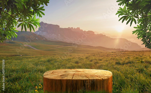 Tree Table wood Podium in farm display for food, perfume, and other products on nature background, Table in farm with grass, Sunlight at morning