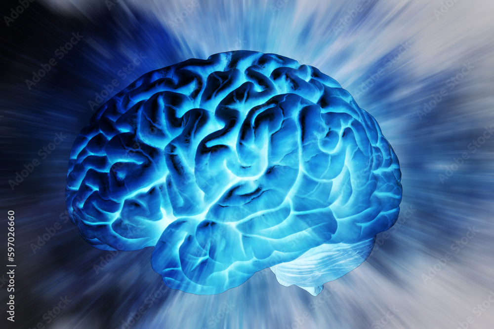 human brain as concept for neurology, medicine and intellect human brain as concept for neurology, medicine and intellect