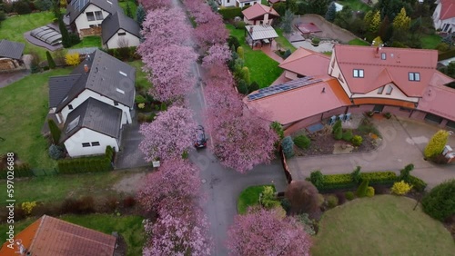 Drone Shot Of Beautiful Residential Area With Green Nature in Spring, Svitavy, Chechnya photo