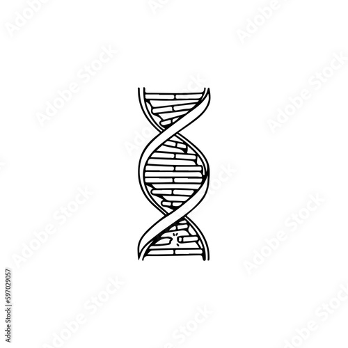 vector illustration of dna helix concept