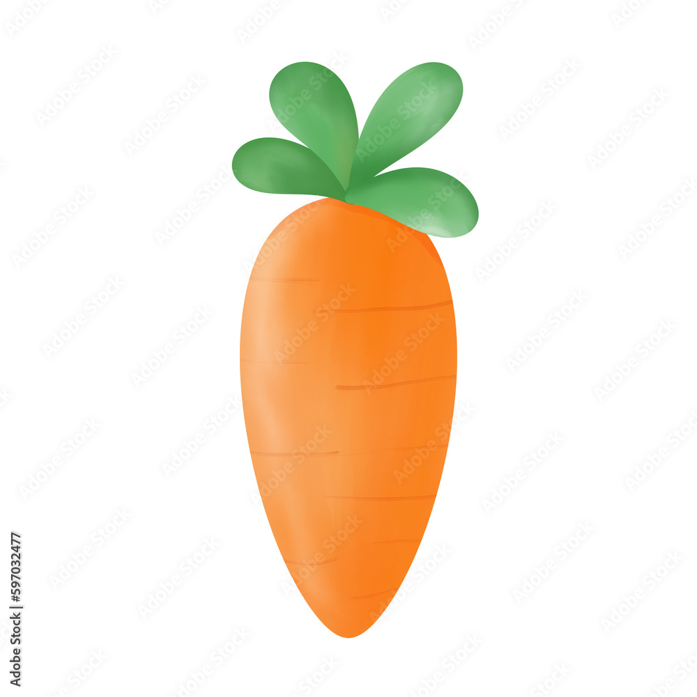 Carrot hand drawn watercolor Carrot hand drawn watercolor