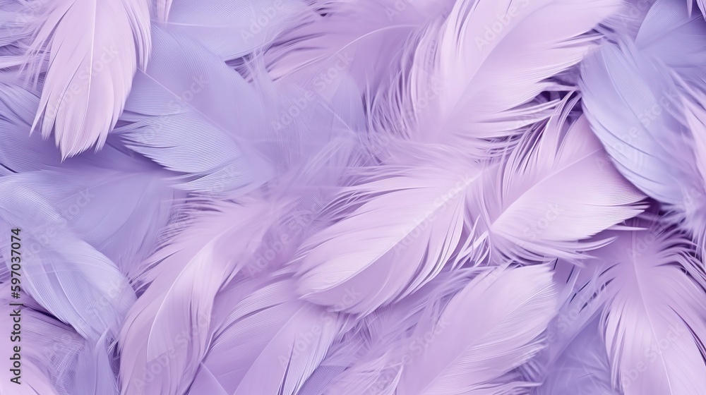 Feathers Pastel Color Background Feathers Pastel Color Background