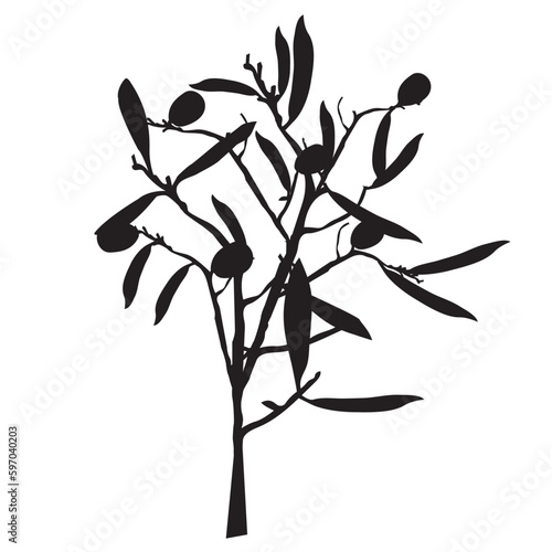 Silhouette of a branch with berries and leaves.