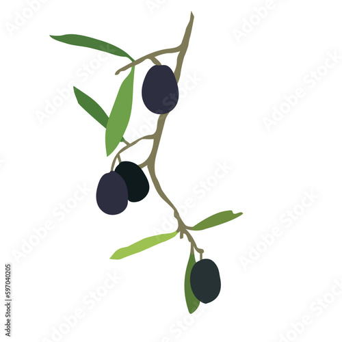 Abstract black olive green branch set. Hand-painted floral illustration with olive fruit and tree branches with leaves isolated on white background.vector olive