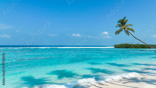 Summer palm tree  and Tropical beach with blue  sky background © SASITHORN