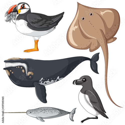 Set of animal cartoon