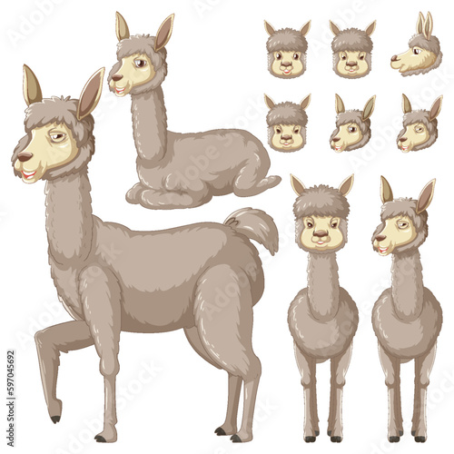 Set of alpaca cartoon character with head and facial expression